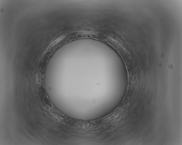 X0000083011207200702161543