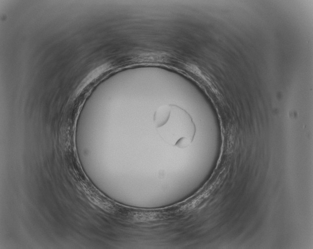 X0000083011211200702161543