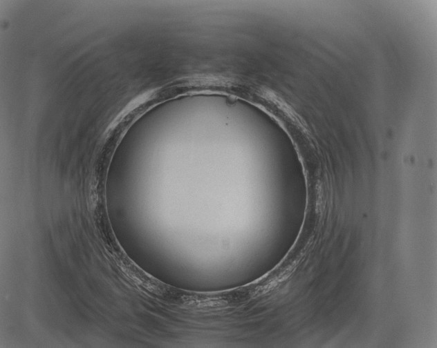 X0000083011213200702161543