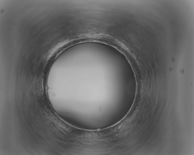 X0000083011214200702161543