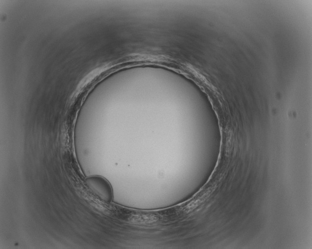 X0000083011215200702161543