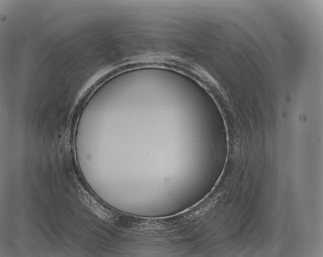 X0000083011216200702161543