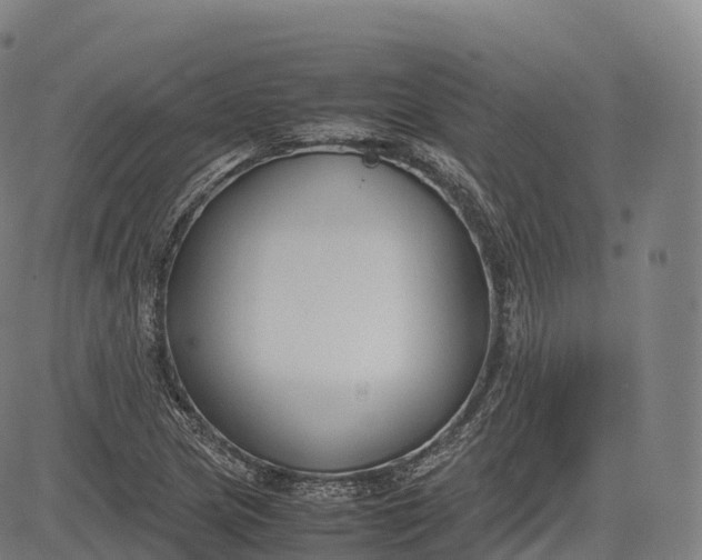 X0000083011217200702161543