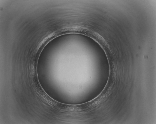 X0000083011218200702161543