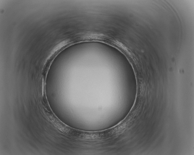 X0000083011219200702161543