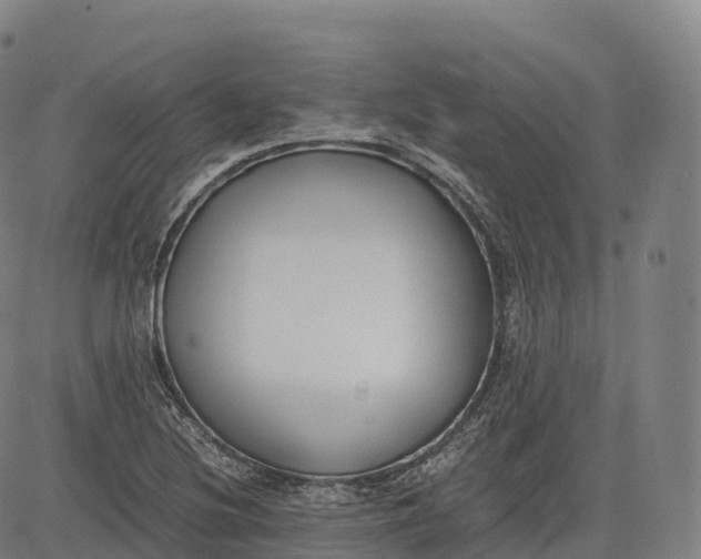 X0000083011220200702161543