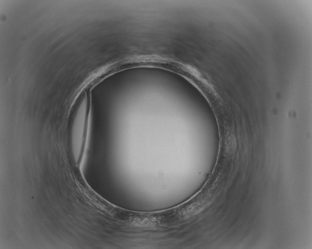 X0000083011221200702161543