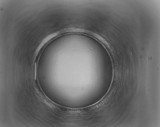 X0000083011223200702161543