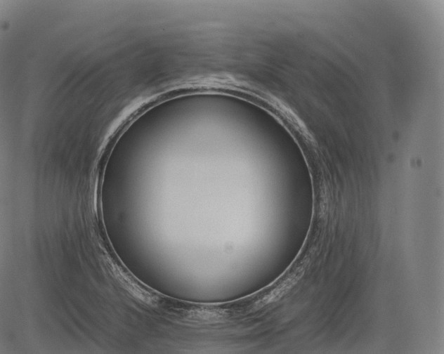 X0000083011224200702161543