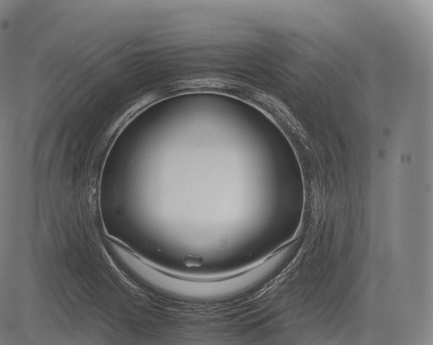 X0000083011225200702161543