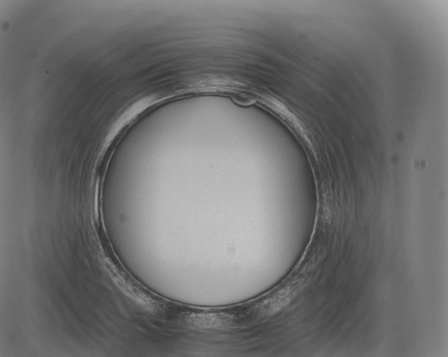 X0000083011227200702161543