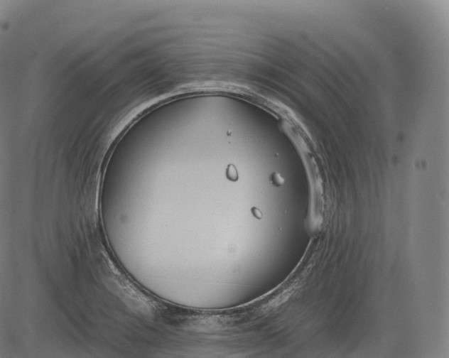 X0000083011228200702161543