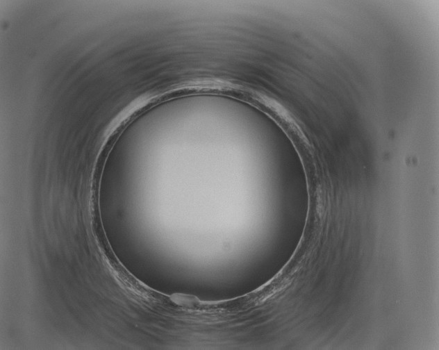 X0000083011229200702161543