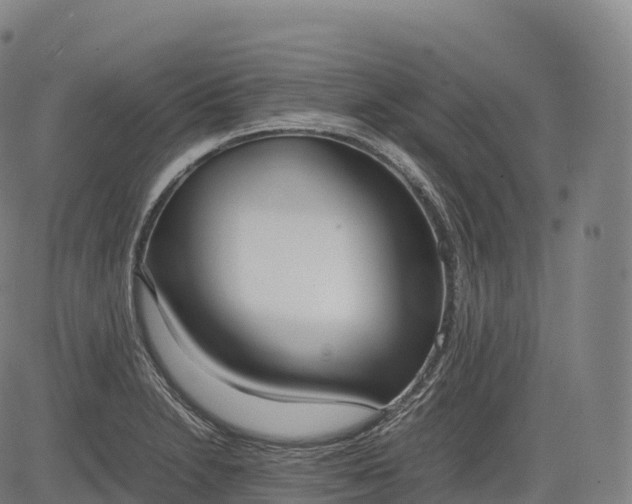 X0000083011230200702161543