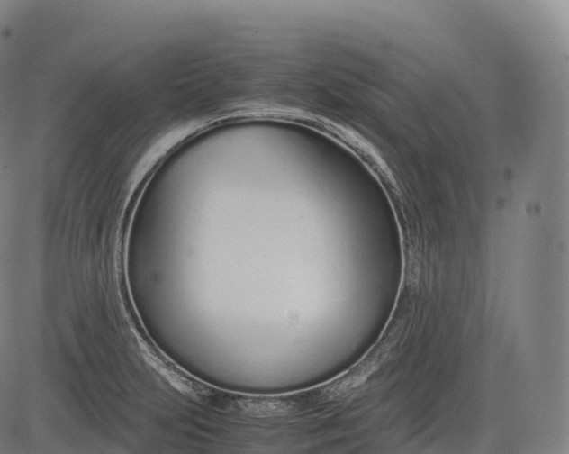 X0000083011231200702161543