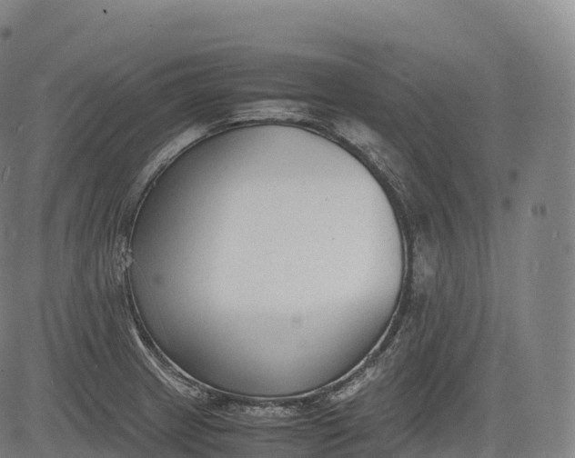 X0000083011233200702161543