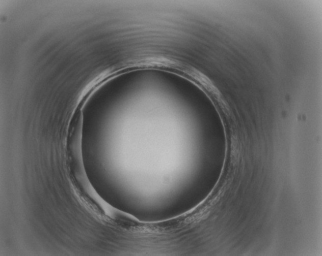 X0000083011234200702161543