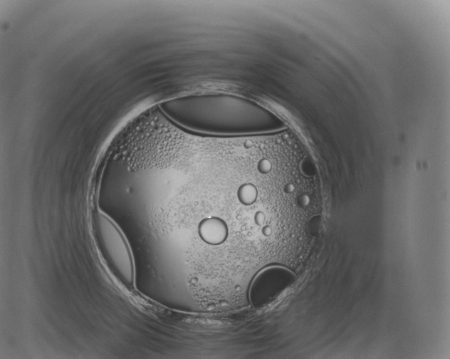 X0000083011235200702161543