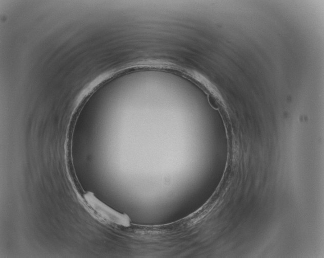 X0000083011237200702161543