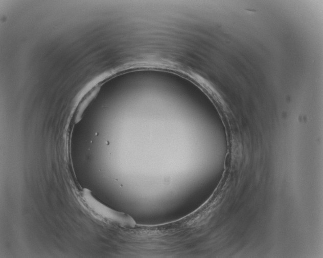 X0000083011238200702161543