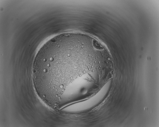 X0000083011239200702161543