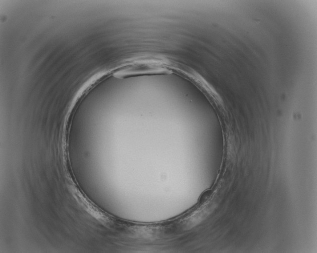 X0000083011240200702161543