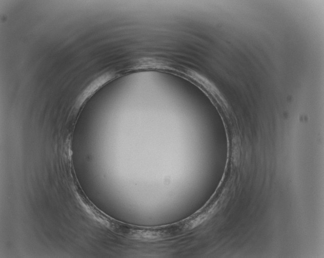 X0000083011241200702161543