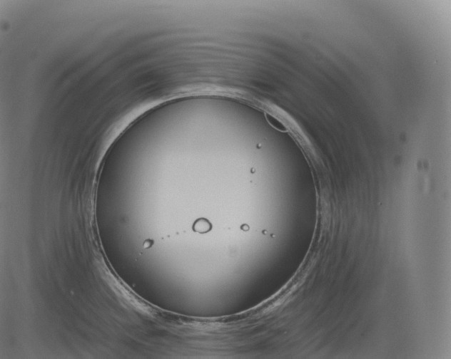 X0000083011244200702161543