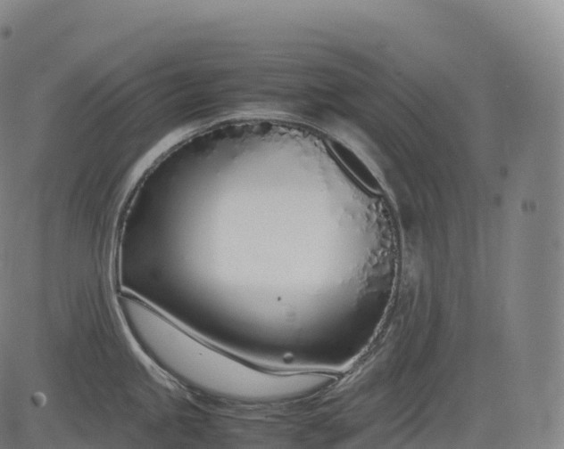 X0000083011245200702161543