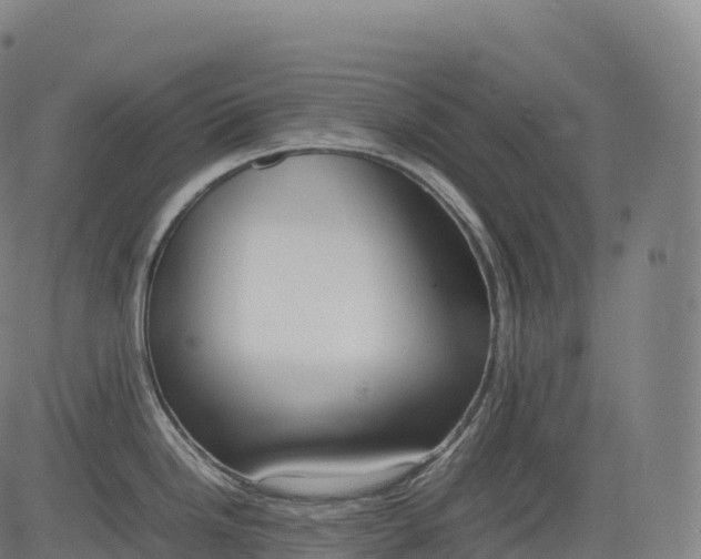 X0000083011246200702161543