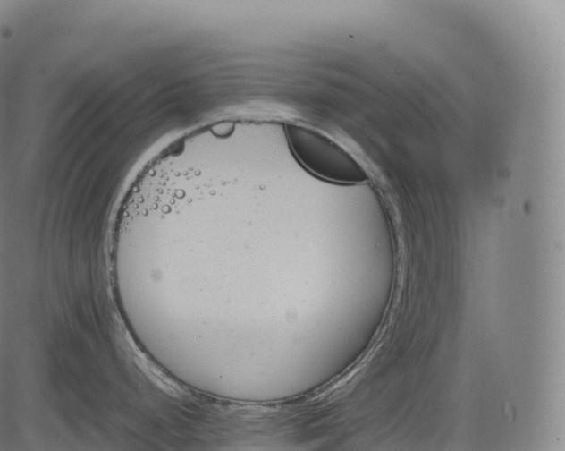 X0000083011248200702161543