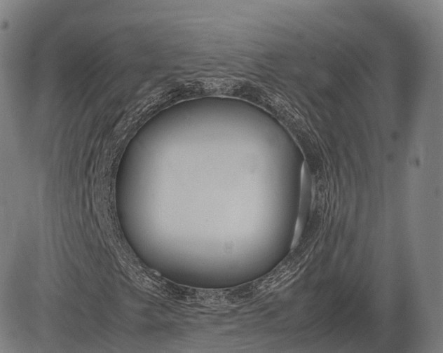 X0000083011249200702161542