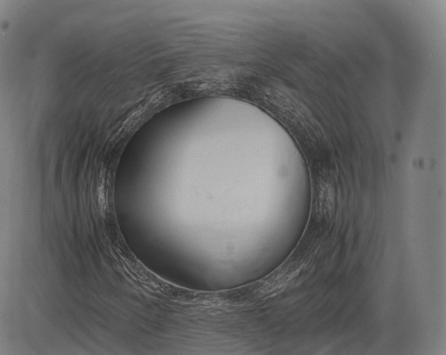 X0000083011250200702161542