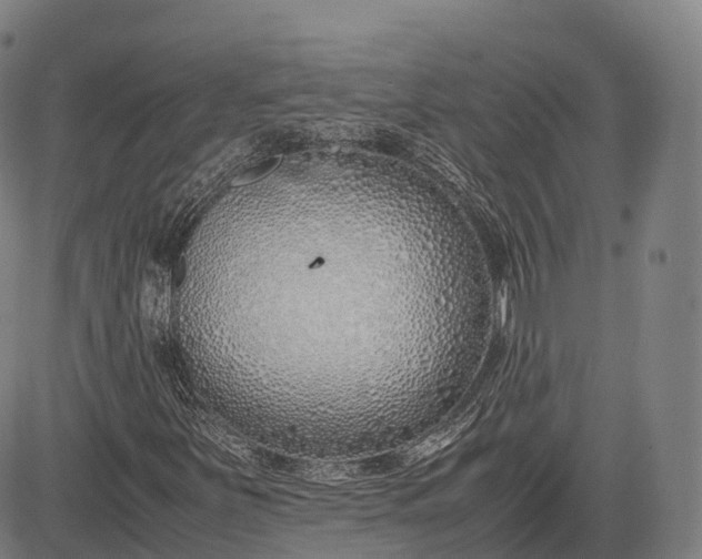 X0000083011251200702161542