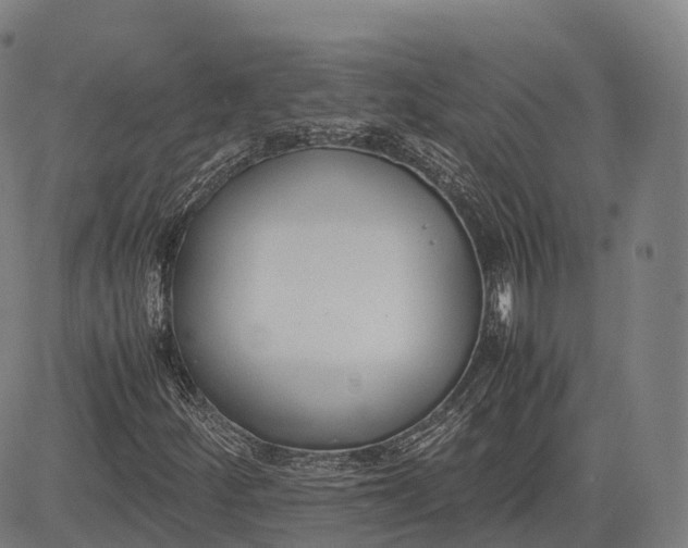 X0000083011252200702161542