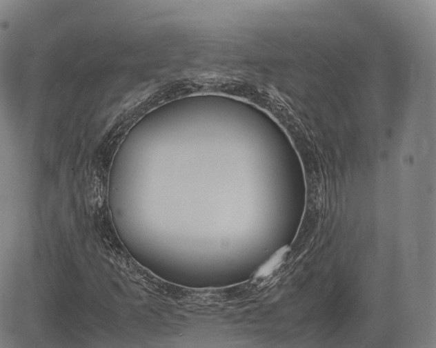 X0000083011253200702161542