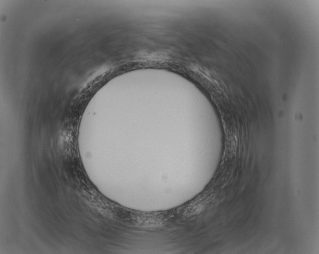 X0000083011254200702161542