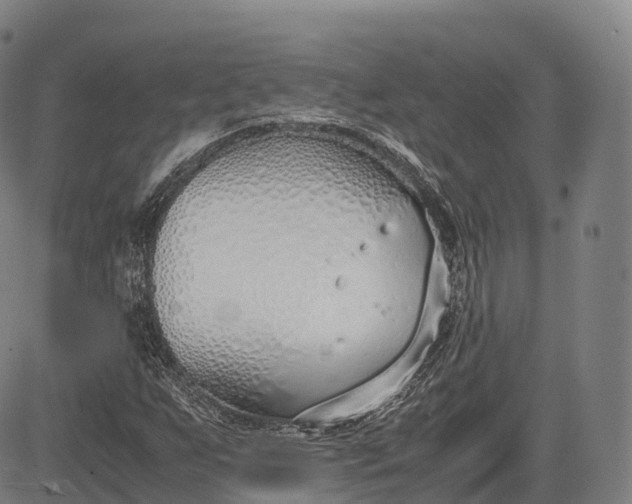 X0000083011255200702161542