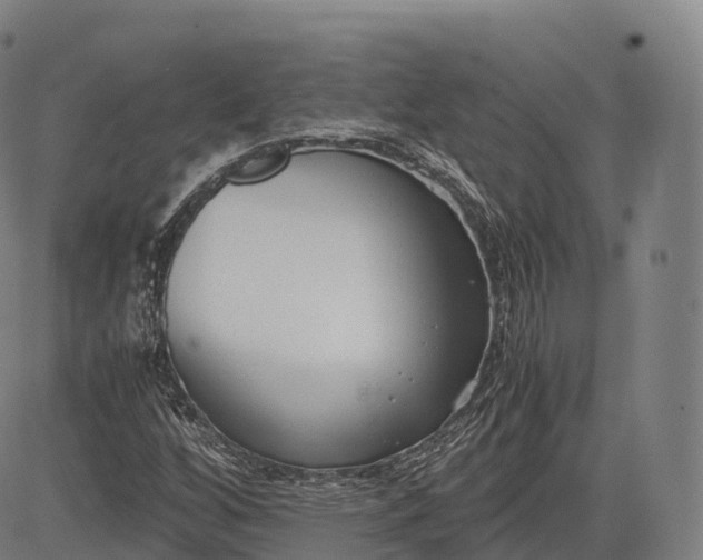 X0000083011256200702161542