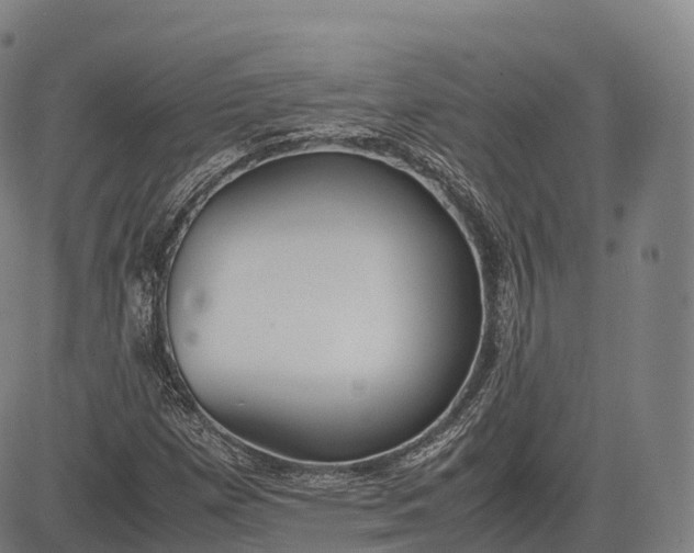 X0000083011257200702161542