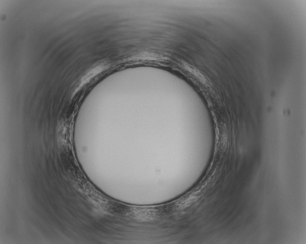 X0000083011258200702161542