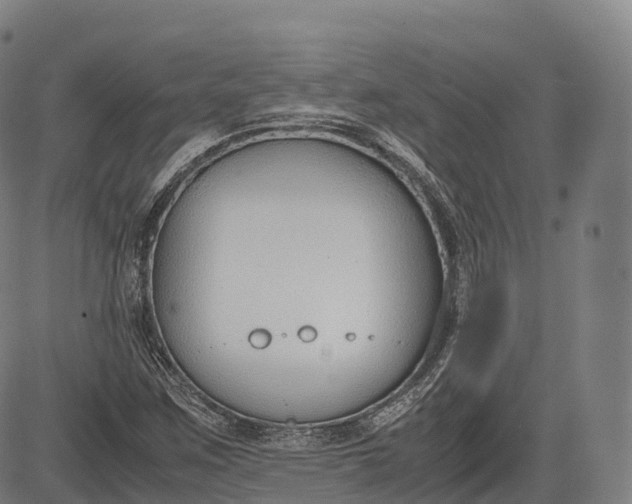 X0000083011259200702161542