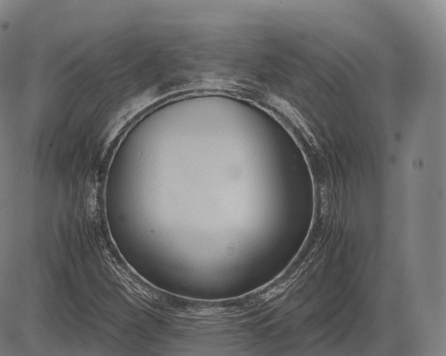 X0000083011260200702161542