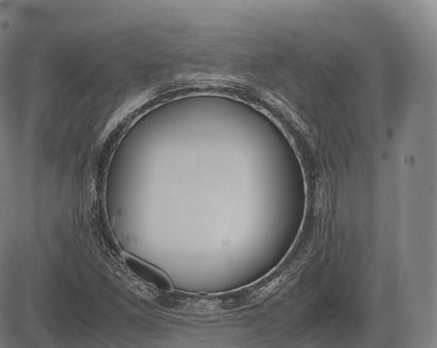 X0000083011261200702161542