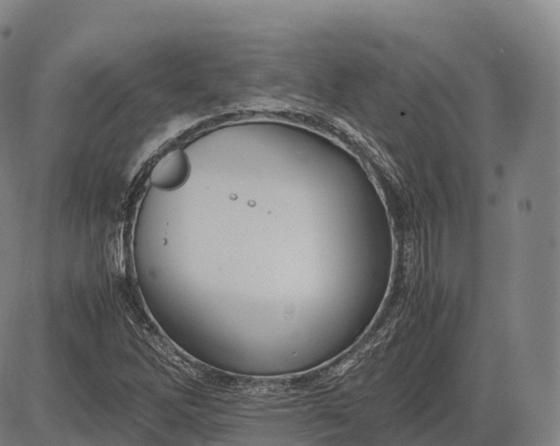 X0000083011262200702161542