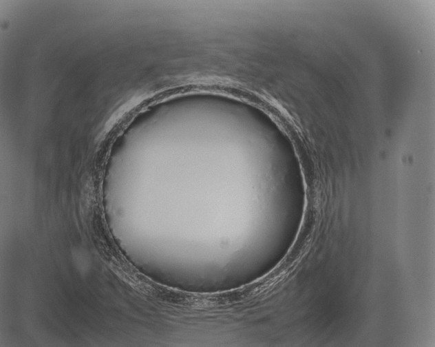 X0000083011263200702161542