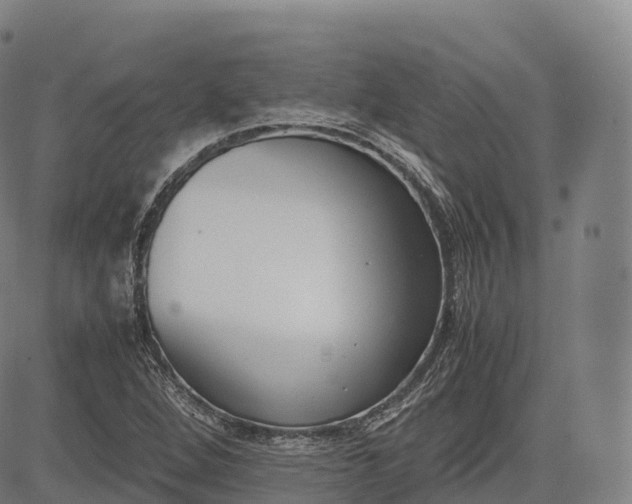 X0000083011264200702161542