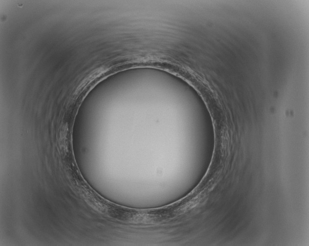 X0000083011265200702161542