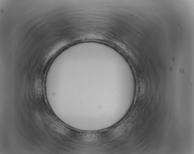 X0000083011266200702161542