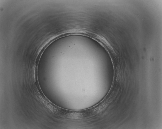 X0000083011268200702161542